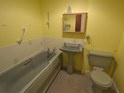 Picture 8